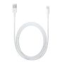 Apple iPhone 5 Cable