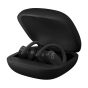 POWERBEATS PRO