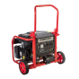 SUMEC FIRMAN GENERATOR ECO 4990ES